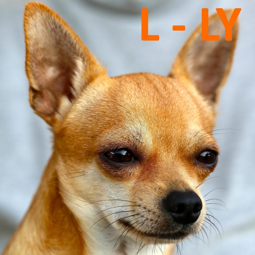 kutya nevek l - ly betűvel