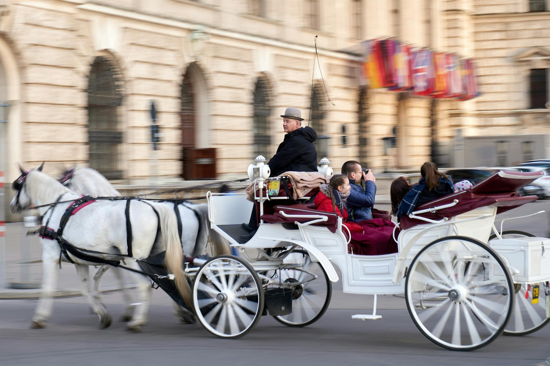 people riding horse carriage on street